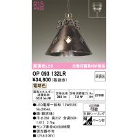 オーデリック　OP093132LR(ランプ別梱)　ペンダントライト 非調光 LEDランプ 電球色 フレンジタイプ 銅古味 | まいどDIY