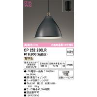 オーデリック　OP252230LR　ペンダントライト 非調光 LEDランプ 電球色 フレンジタイプ ブラック | まいどDIY