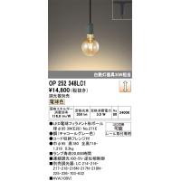 オーデリック　OP252348LC1(ランプ別梱包)　ペンダントライト LEDランプ 連続調光 電球色 調光器別売 レール取付専用 グレー | まいどDIY