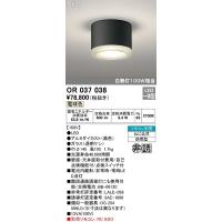 オーデリック　OR037038　非常灯 誘導灯 リモコン別売 直付型 LED一体型 電球色 電池内蔵形 防雨形 ブラック | まいどDIY