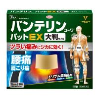 【第2類医薬品】【興和】バンテリンコーワパットＥＸ　大判サイズ7枚入 | まいどドラッグ