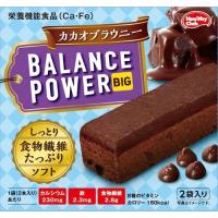 バランスパワービッグカカオブラウニー２袋 | マイドラ生活総合館