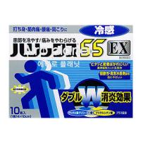 【第3類医薬品】ハリックス55 EX 冷感 10枚入 肩こり 腰痛 筋肉痛 冷感シップ 冷湿布 | マイドラ生活総合館