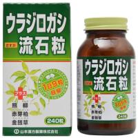 山本漢方製薬株式会社 ウラジロガシ流石粒 240粒 健康補助食品  飲みやすい | マイドラ生活総合館