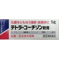 【指定第2類医薬品】テトラ・コーチゾン軟膏5g 塗布剤 湿疹 皮膚炎 あせも かぶれ しもやけ 虫さされ じんましん | マイドラ生活総合館