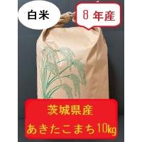 maiyuu-shop_maiyuu2_i_20260824093842