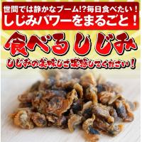 食べるしじみ　珍味　おつまみ　おやつ【送料無料】 | マキノ海産