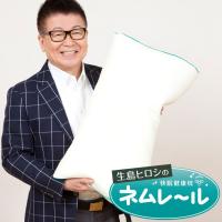 枕 まくら ピロー ネムレール 生島ヒロシの快眠健康枕 枕カバー付き 安眠枕 洗える いびき | 枕と眠りのおやすみショップ!