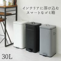 ゴミ箱 おしゃれ 北欧 45リットル対応 45l対応 キッチン 分別 30リットル ペット いたずら 防止 インテリア雑貨 bcl Galva スクエアダストボックス 30L | ママチー