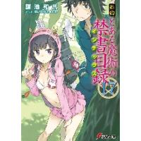 新約とある魔術の禁書目録（インデックス）　１７ / 鎌池　和馬 | 京都大垣書店 プラス