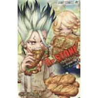 Ｄｒ．ＳＴＯＮＥ　　１１ / Ｂｏｉｃｈｉ　画 | 京都大垣書店 プラス