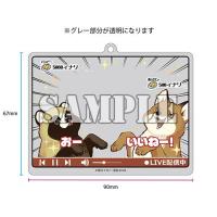 新品 / 【有償特典付】お前、タヌキにならねーか?(10) | 漫画全巻ドットコム Yahoo!ショッピング店