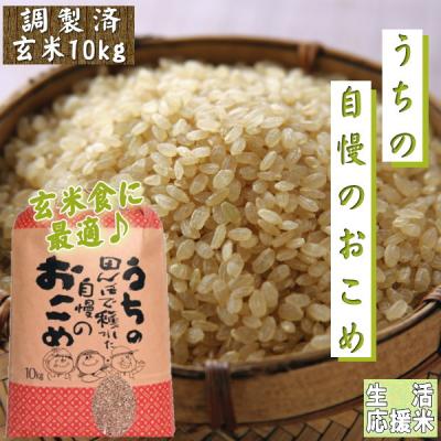 楽天市場】こしひかり玄米 10kgの通販