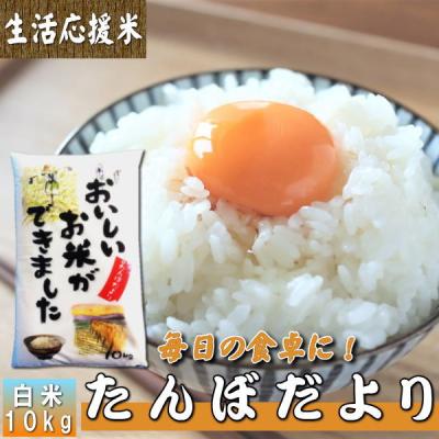 うるち米、玄米｜米、ごはん｜米、雑穀、粉類｜食品 おすすめ
