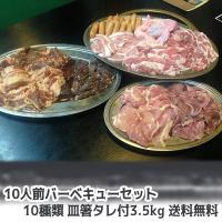 肉 牛肉 豚肉 鶏肉 焼肉セット 盛り バーベキュー ハラミ bbq 10人前 10種類 総重量3.5kgセット 商番819 