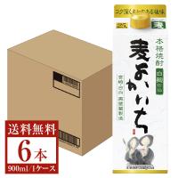 宝酒造 寶 宝焼酎 本格焼酎 よかいち 麦 白麹仕込 25度 紙パック 900ml×6本 1ケース 麦よかいち 麦焼酎 宮崎 | FELICITY 地酒