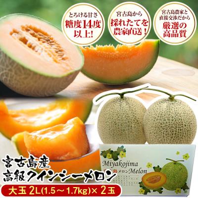 まんてん沖縄 - 宮古島赤肉メロン｜Yahoo!ショッピング