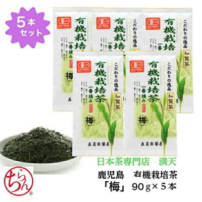 有機栽培茶 一番摘み 知覧茶90g×10袋 知覧茶 知覧農園 深蒸し 煎茶 野花 100g × 6本 送料無料 | 有機