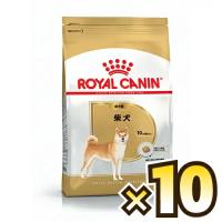 【お得なケース売り】ロイヤルカナン（ROYAL CANIN） 柴犬 ブリード ヘルス ニュートリション 成犬用 生後10ヶ月齢以上 1ケース（800g×10個） | マペット