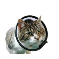 VETカラー XS [クリア] 傷口をなめて困る時に | マペット