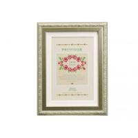 Nフレーム 2009 2L/KG判 シルバー 105-570 | マップスマーケット