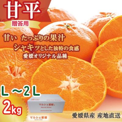 ワサビ甘平 10Kg 甘平（かんぺい）のお取り寄せ(通販) 農家直送 送料無料