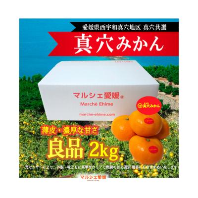 真穴みかん 3kg（食品）のおすすめ人気商品一覧 通販 - Yahoo!ショッピング