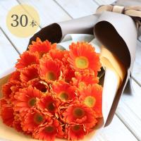 7日前予約品 退職祝い 花 花言葉 希望 ガーベラ 花束 本 生花 ブーケ 入学 卒業祝い フラワー ギフト 結婚祝い プレゼント 女性 誕生日 母の日 Ft 018 横浜花まりかフラワーギフト専門店 通販 Yahoo ショッピング