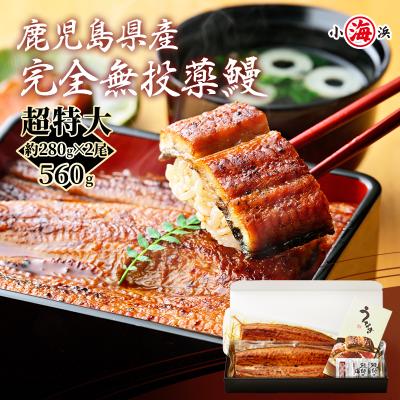 うなぎの商品一覧 通販 - Yahoo!ショッピング