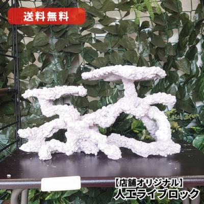 【送料無料】人工ライブロック　PHR21／12穴加工　アク抜き済み安心塗料使用 1】発送要相談 人工ライブロック 擬岩 1ピース 120cm水槽用