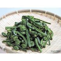 山菜 こごみ こごめ 500g 天然　新潟県 妙高市産 朝採り 産地直送(ご予約品) 