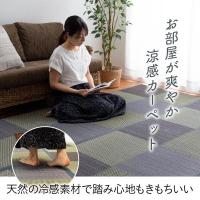 ラグ い草ラグ 花ござ 江戸間6畳（約261×352cm） カーペット ラグ 格子柄 市松柄 DXピーア | まるっとマーケット