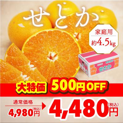 せとか20㎏(家庭用)とりかよ せとか 家庭用の通販｜食べチョク｜産地直送(産直)お取り寄せ通販
