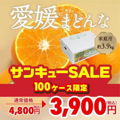 まどんなのおすすめ人気商品一覧 通販 - Yahoo!ショッピング