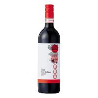 赤ワイン イタリア  カンティーネ アウローラ エラ シラー オーガニック   2020   750ml 赤   ミディアムボディwine | 酒宝庫 MASHIMO Yahoo!店