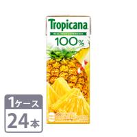 キリン トロピカーナ 100% パインアップル 250ml×24本 紙パック 1ケースセット 送料無料 | 酒宝庫 MASHIMO Yahoo!店