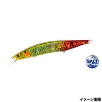DUO ルアー レアリス ジャークベイト SWリミテッド 160S コノシロバーニングゴールド | 釣具のマスタック
