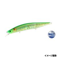 【現品限り】 DUO ルアー レアリス ジャークベイト SWリミテッド 160S イナッコライムチャート | 釣具のマスタック