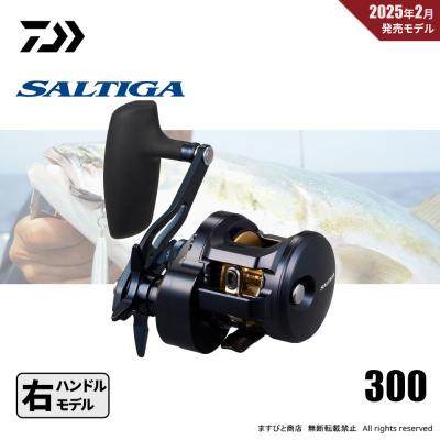 ダイワ 25 ソルティガ 300L 新品未使用 楽天市場】【エントリーでP10倍！】ダイワ リール 25ソルティガ
