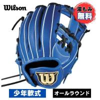 【湯もみ加工無料】ウィルソン　少年軟式野球グローブ　D-MAX DUAL　WBW103116　オールラウンド用(11インチ)　ジュニア野球グラブ　ロイヤル(ブルー)　特価 | マツバラスポーツ ネットQ