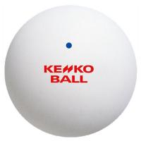 ケンコーソフトテニスボール 公認球 白10ダース入り TSOW-V 軟式テニスボール 試合球 6ON8501 | マツダスポーツ