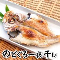 旬干し　超高級魚のどぐろ一夜干し（冷凍）特大サイズ　1枚　約260-290ｇ程度　国産（山陰浜坂産）赤睦・ノドグロ・干物・開き