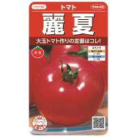 サカタのタネ 野菜種 トマト 麗夏 | MAXZEN Direct Yahoo!店