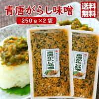 送料無料 青唐がらし味噌 250ｇ 2袋セット 青唐辛子味噌 ご飯のお供 お酒のおつまみ 馬場音一商店 まざっせこらっせ Yahoo 店 通販 Yahoo ショッピング