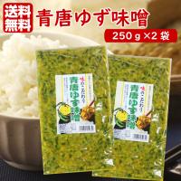 送料無料 青唐ゆず味噌（250ｇ）2袋セット 青唐がらし味噌 青唐辛子味噌 ゆずみそ 柚子味噌 柚子みそ ゆず味噌 青唐辛子 青唐がらし 惣菜 万能調味料 ラー油鮭ン | まざっせこらっせ Yahoo!店