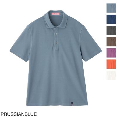 ドルモア ポロシャツ（メンズファッション） | ファッション の