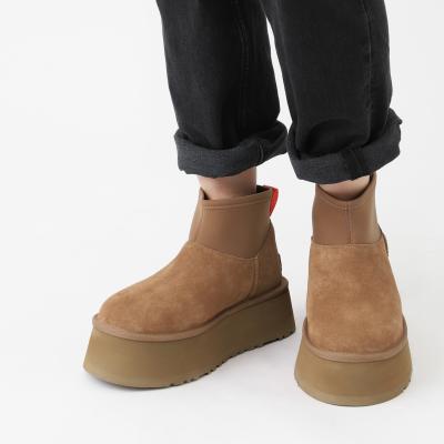 限定出品タグ付未使用❣️ UGG Australia❣️アグオーストラリア❣️手袋　M 限定出品タグ付未使用❣️ UGG Australia❣️アグオーストラリア