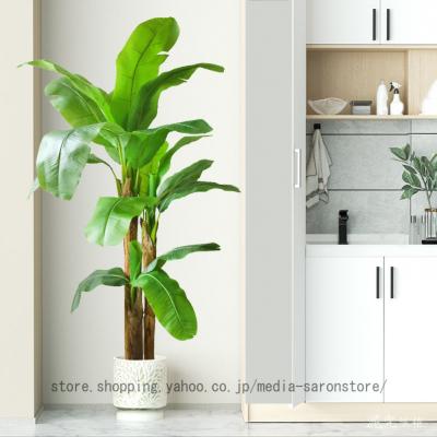 観葉植物バナナの木（人工観葉、フェイクグリーン） | 花