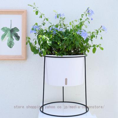sy32（園芸用品） | 花、ガーデニング のおすすめ人気商品一覧 通販