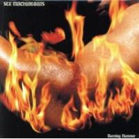 【ご奉仕価格】Burning Hammer バーニングハンマー 2CD レンタル落ち 中古 CD ケース無:: | お宝イータウン